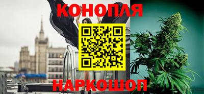 мяу мяу мука Малоярославец