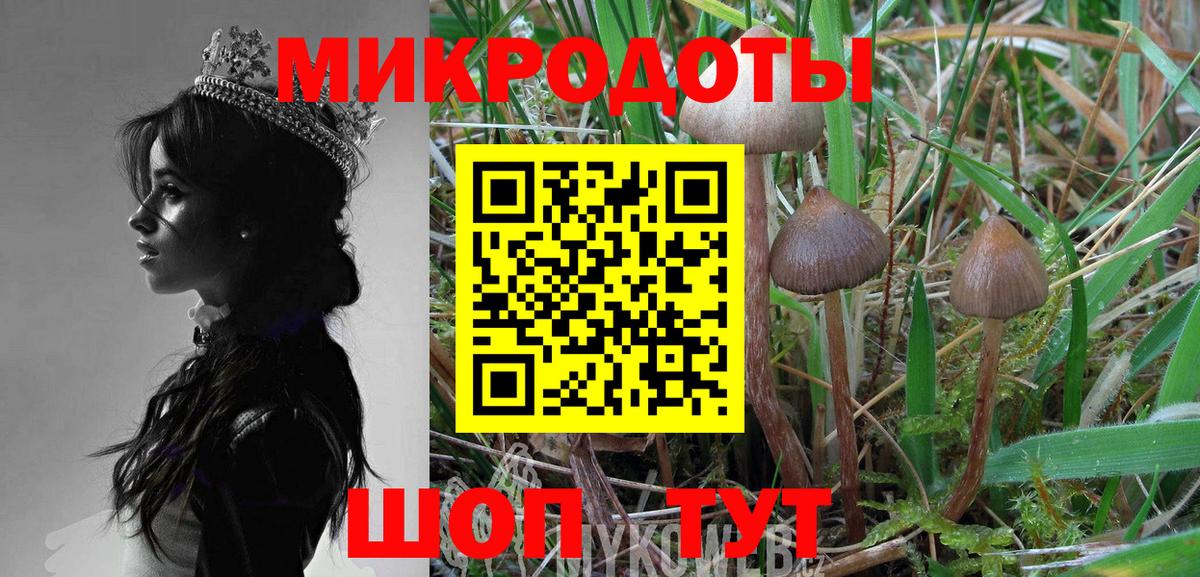 Псилоцибиновые грибы мухоморы Сертолово