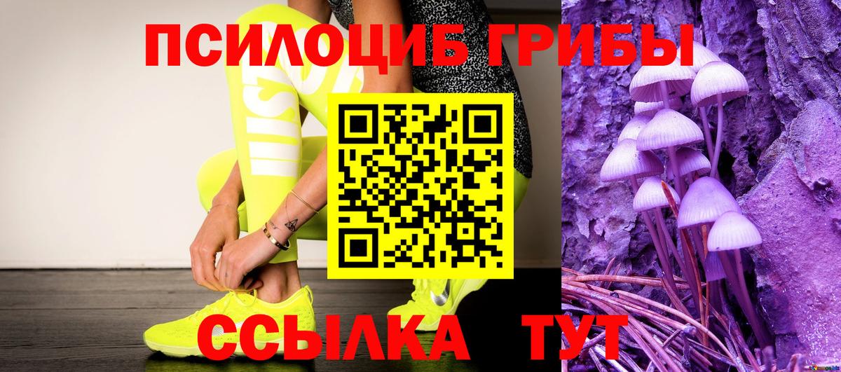 Сертолово  Псилоцибиновые грибы прущие грибы  Вход с VPN 